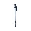 AVI Hiking And Trekking Pole (single) All Products